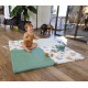 Clever playmat