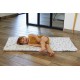 Travel mattress